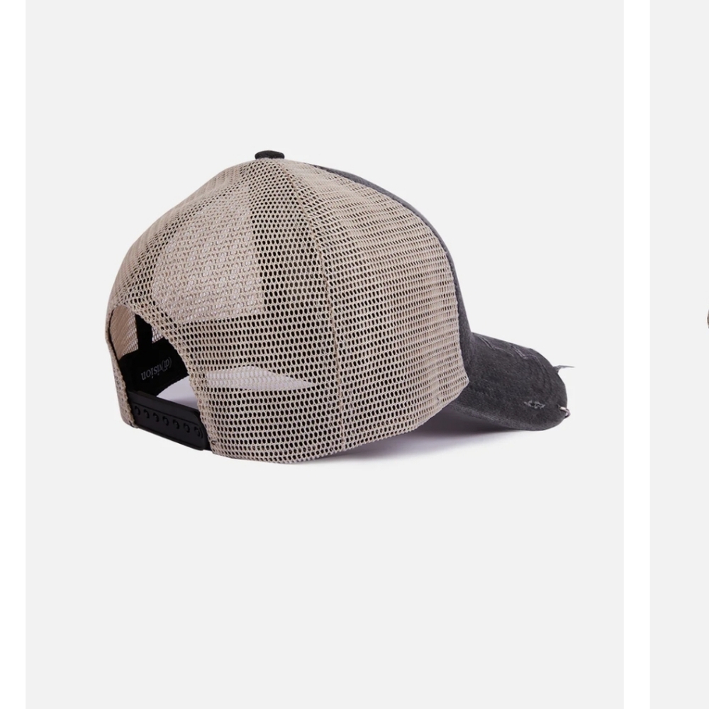 Division cap - Picture 4 of 7
